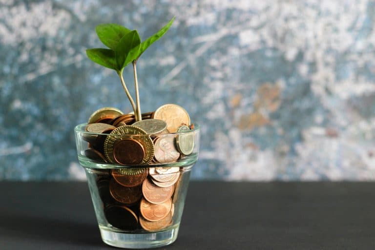Dana Darurat dan Sinking Fund, Apa Bedanya?